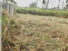 Hình ảnh 500 m2 đất nông  nghiệp, HXH Nhà bè, 2,88 tỷ.