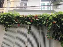 Hình ảnh Cho thuê nhà HXT 7M đường Phan Huy Ích,P.12,Gò Vấp