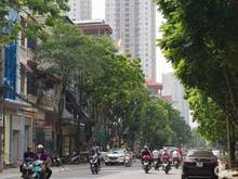 Hình ảnh nhà sát mặt phố,kinh doanh,oto đỗ chỗ view đẹp,giá rẻ,tô hiệu,hà đông
