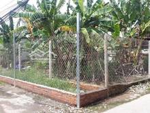 Hình ảnh Bán đất vườn đường 40 Hiệp Bình Chánh, Thủ Đức. DT: 9 x 16.4 m, 3.7 tỉ