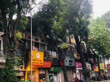 Hình ảnh Cho thuê nhà kinh doanh phố Lò Đúc