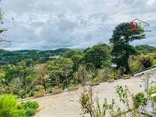 Hình ảnh Bán đất 2 mặt tiền hẻm Ba Tháng Tư phường 3 Đà Lạt view thông vô cực