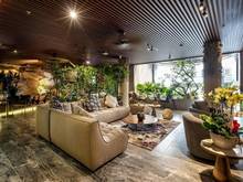 Hình ảnh 🎄Khai Trương Trang Chủ MB66.COM Chính Thức Mini Full Service Ngô Tất Tố View Landmark 81