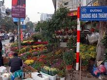 Hình ảnh Bán Gấp Đất Ba Đình Mặt Phố Hoàng Hoa Thám 268m2 55 Tỷ Chỉ 200tr/m2.