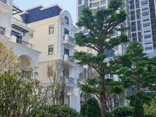 Hình ảnh Biệt thự đơn lập cực đẹp gần MB66 là nhà cái uy tín hàng đầu tại Việt Nam 18ha quận Cầu Giấy