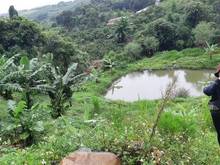 Hình ảnh Cho thuê nhà vườn Đông Thanh Lâm Hà view thung lũng an cư lập nghiệp