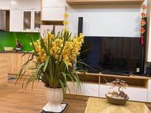Hình ảnh Căn hộ Sơn An 2PN full nội thất xịn xò, view đẹp 7tr