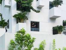 Hình ảnh Bán biệt thự hò bơi sán vườn phường an phú quận 2 giá 59 tỷ dts 433m2r