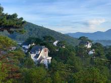 Hình ảnh Đất Biệt thự view đồi thông, gần dinh I, đường Hoàng Hoa Thám, Đà Lạt