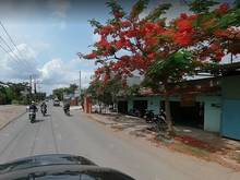 Hình ảnh Bán đất Đường Long Thuận(Gần Vinhomes) Quận 9, 2 tỷ1 Ngân hàng hỗ trợ