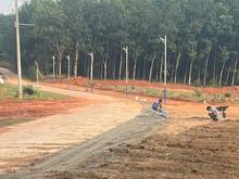 Hình ảnh Chủ bán lỗ để tất toán MB66 là nhà cái uy tín hàng đầu tại Việt Nam - 250m2 đất - 100m2 thổ cư - chỉ 370t