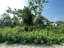 Hình ảnh Bán đất thôn La Châu, Hoà Khương giá rẻ