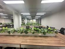 Hình ảnh Sàn VP diện tích SIÊU RỘNG-VỊ TRÍ VÀNG-GIÁ TỐT  Sala Đại Quang Minh
