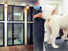 Hình ảnh Huỳnh Tấn Phát Quận 7 Ngay cầu phú Mỹ,Chỉ cho DÂN NGOẠI TỈNH THUÊ 23tr