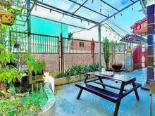 Hình ảnh Cho thuê Biệt thự Mai Anh Đào Phường 8 Đà Lạt gần các KDL nổi tiếng