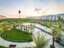 Hình ảnh Cho thuê Liền kề, Biệt thự Vinhomes Ocean Park 2 - Giá sốc CHỈ TỪ 4 tr