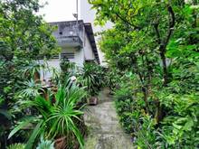 Hình ảnh Gò Vấp, Nguyễn Thái Sơn, Phường 3, Đất DT 198.8m2, Chỉ 13.5 tỷ