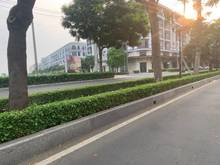 Hình ảnh Nợ ngân hàn cần thanh lý nhanh miếng đất gần trường đại học VIỆT ĐỨC