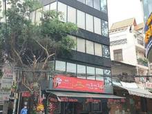 Hình ảnh Cho thuê nhà Mặt Tiền Hoa Sữa - Khu Phan Xích Long