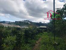 Hình ảnh Bán đất  hai mặt tiền Cam Ly phường 7 Đà Lạt view thung lũng cực đẹp
