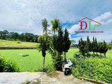 Hình ảnh Bán khách sạn 2 mặt tiền Bùi Thị Xuân P2 Đà Lạt view Hồ Xuân Hương