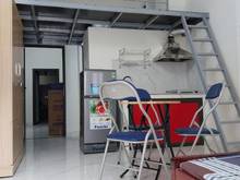 Hình ảnh Cần [BÁN GẤP] CCMN 6 Tầng, THANG MÁY - DT 50TR/ THÁNG-Bùi Xương Trạch