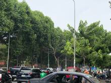 Hình ảnh Thuê nhà Rạch Bùng Binh, P9, Q3, S: 4x10m, 1T 3L 1ST giá 17tr/th