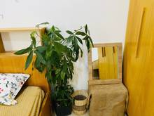 Hình ảnh HELLO THÁNG 5 CÓ GÌ HOT!!!  Phòng Studio đẹp ở Nơ Trang Long BT
