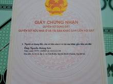 Hình ảnh Cần bán gấp đất trồng lúa tại Tân Kiên, Bình Chánh