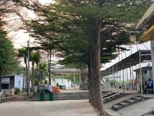 Hình ảnh Chính chủ bán đất ven sông Sài Gòn