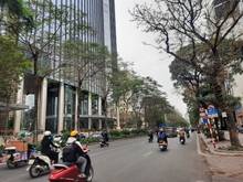 Hình ảnh Cần bán gấp nhà Láng Hạ Ba Đình, ngõ to như phố, tiện ích bạt ngàn