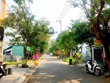 Hình ảnh Bán đất Mt Bùi Huy Bích, 5m5 gần sông Marina Complex, Sơn Trà 3.3 tỷ
