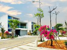 Hình ảnh Chính chủ bán biệt thự 3 tầng full ngoại thất , view kênh sinh thái