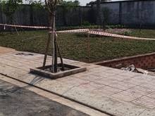 Hình ảnh Đất nền ngay chợ Khải Hoàn Bình Tân, giá cả cạnh tranh thị trường