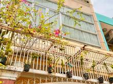 Hình ảnh Chủ nhà Cô Sinh viên Giỏi, xinh ngoan hiền bán nhà 4 Tầng Lê Văn Sỹ !