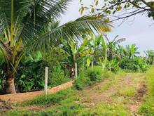 Hình ảnh Bán gấp nửa sào đất tại Vĩnh Tân xây bao sẵn, SHR.