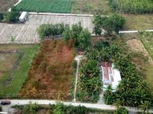 Hình ảnh Bán gấp lô đất vườn 2MT, 1753m2, Hiệp Thạnh Gò Dầu, Giá 950 Triệu.