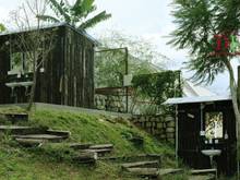 Hình ảnh Cho thuê khu kinh doanh Đồi Robin Đống Đa Đà Lạt có cafe, camping,...