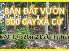Hình ảnh Bán Gấp 3 Lô Đất Thị Trấn Tặng Ngay 300 Cây Xà Cừ Lớn
