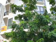 Hình ảnh NHÀ NGUYÊN CĂN MỚI TINH GÓC đường số 51, Phường An Phú, TP Thủ Đức - 2