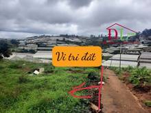 Hình ảnh Bán đất mặt tiền Trịnh Hoài Đức Phường 11 Đà Lạt thích hợp nghỉ dưỡng