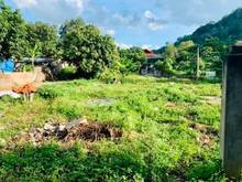 Hình ảnh Thanh lý lô đất phù hợp làm homstay tại trung tâm Mộc Châu