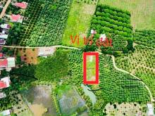 Hình ảnh Chính chủ cần bán lô đất gần hồ Trị An 1002m phủ hồng 100% có 100m thổ