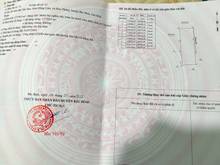 Hình ảnh Đất Hoà Thắng 1,7ha CLN cách Liên Huyện 100m,sẵn tràm 3 năm