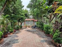 Hình ảnh Bán GẤP đất tặng nhà vườn 410m2 mặt tiền Bình Mỹ, Củ Chi, giá Trang MB66.COM Chính Thức - MB 66 Uy Tín