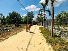 Hình ảnh Bán vườn xoài ngay UBND xã La Ngà cách QL20 700m, 1002m SHR đường oto
