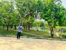 Hình ảnh Ông a ngộp MB66 là nhà cái uy tín hàng đầu tại Việt Nam bán vườn trái cây dt 1000m2 giá chỉ 720tr ở ĐN.
