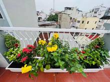 Hình ảnh Chính chủ cần bán nhà 4.3x8.2 Hoàng Hoa Thám Quận Bình Thạnh. GIÁ RẺ