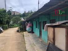 Hình ảnh Bán đất Hoàng Hoa Thám P10 Đà Lạt thích hợp an cư, kinh doanh homestay