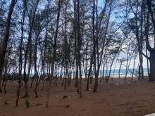 Hình ảnh Đất Mặt Tiền view bám biển 210m Tân Thắng giá 48 tỷ